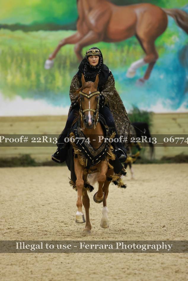 Proof 22R13_06774