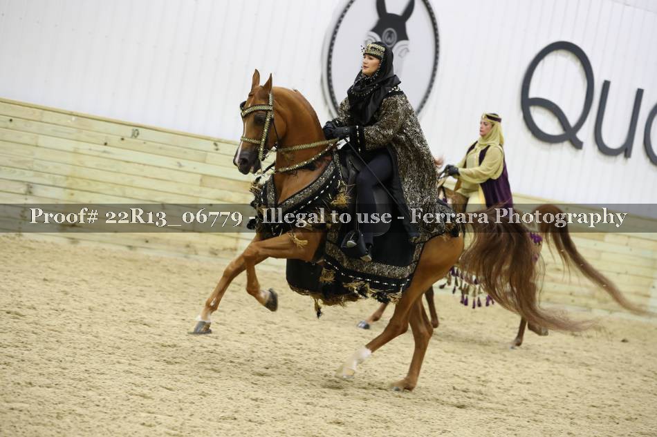 Proof 22R13_06779