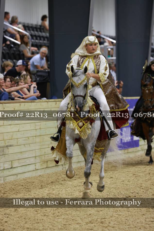 Proof 22R13_06781