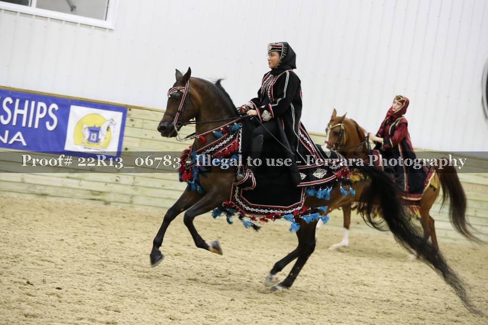 Proof 22R13_06783