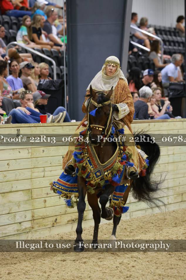 Proof 22R13_06784