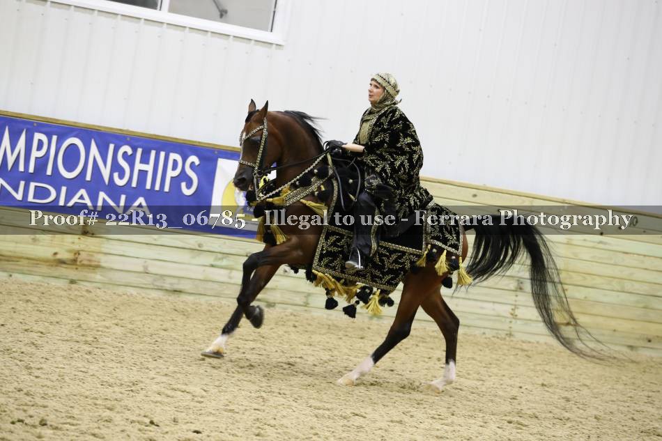Proof 22R13_06785