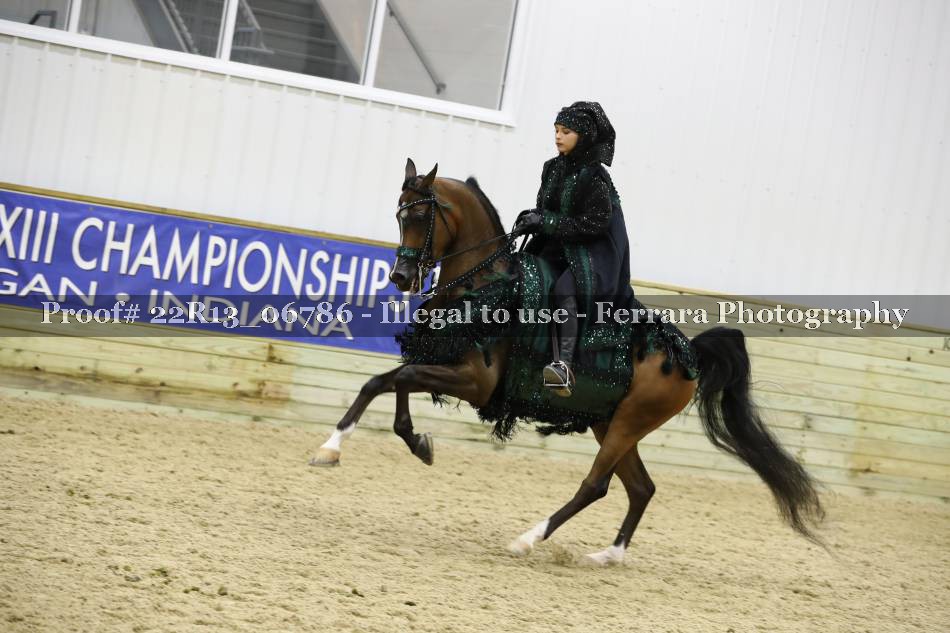 Proof 22R13_06786