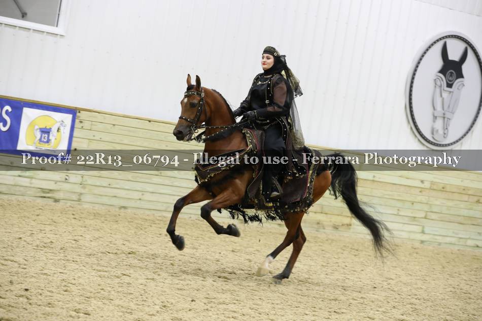 Proof 22R13_06794