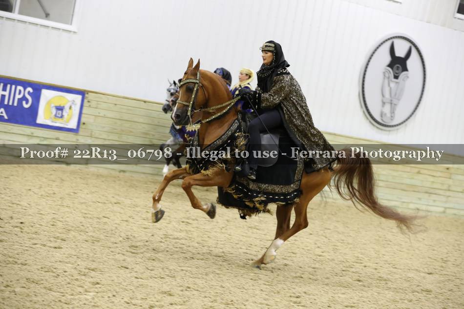 Proof 22R13_06798