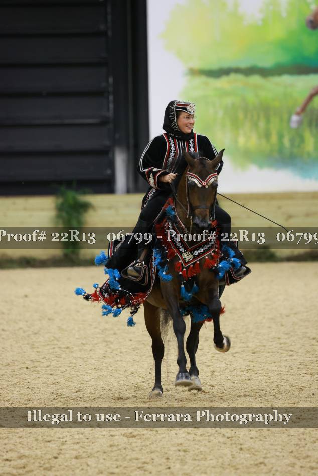 Proof 22R13_06799