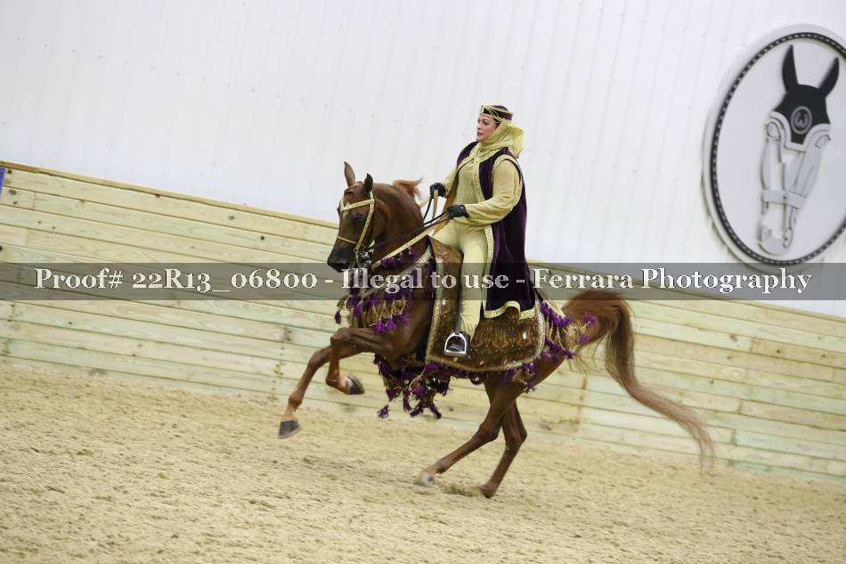 Proof 22R13_06800