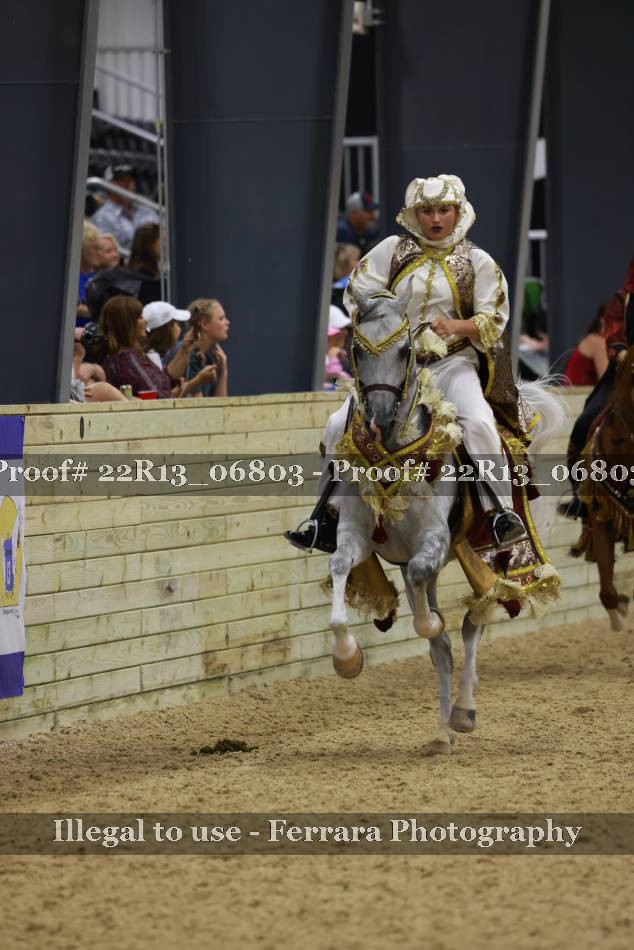 Proof 22R13_06803