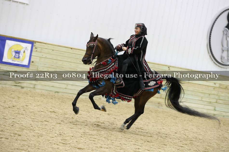 Proof 22R13_06804
