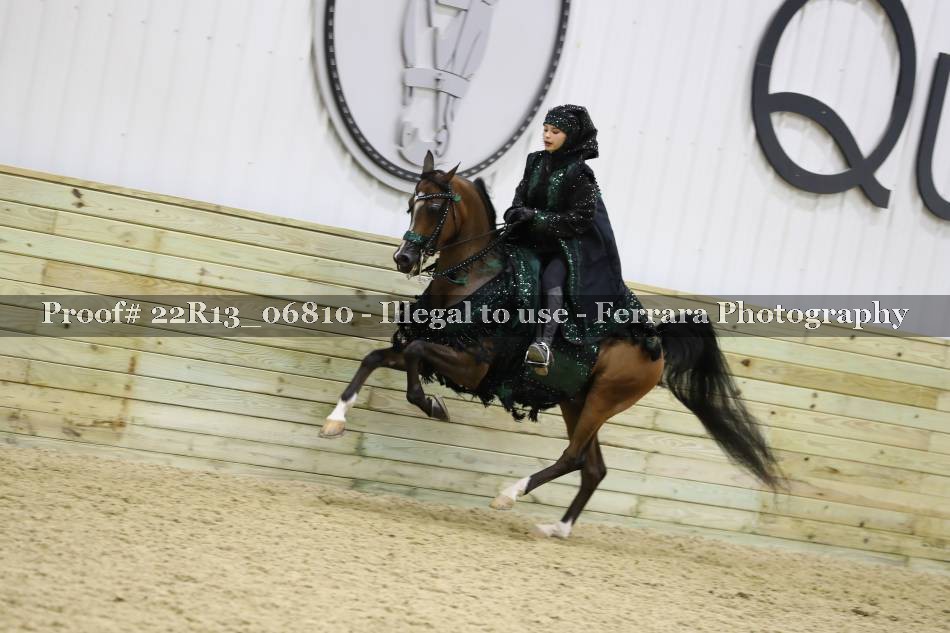 Proof 22R13_06810