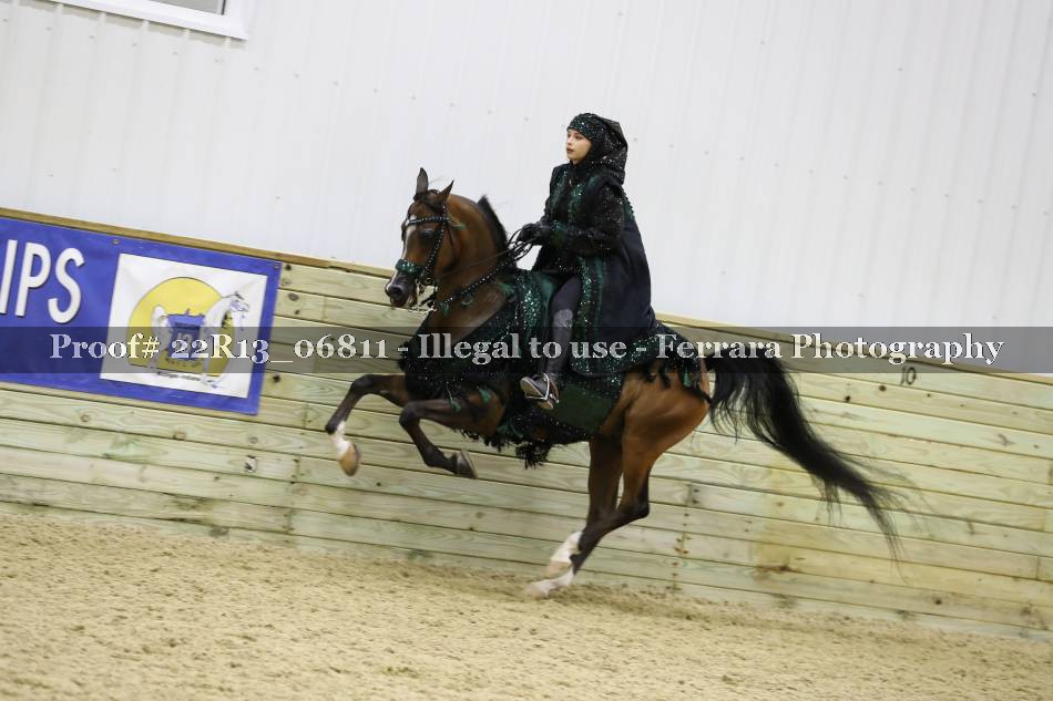 Proof 22R13_06811