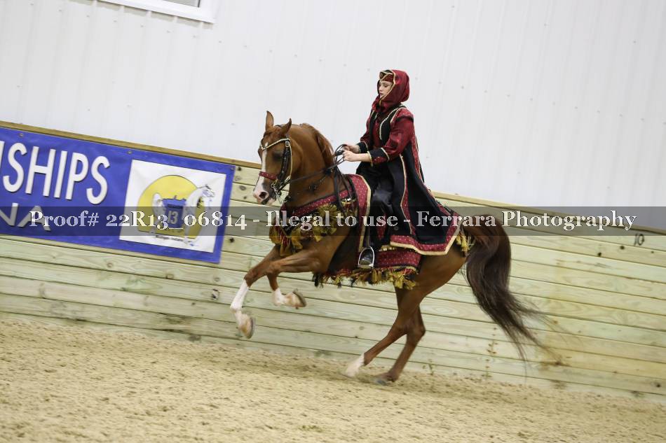 Proof 22R13_06814