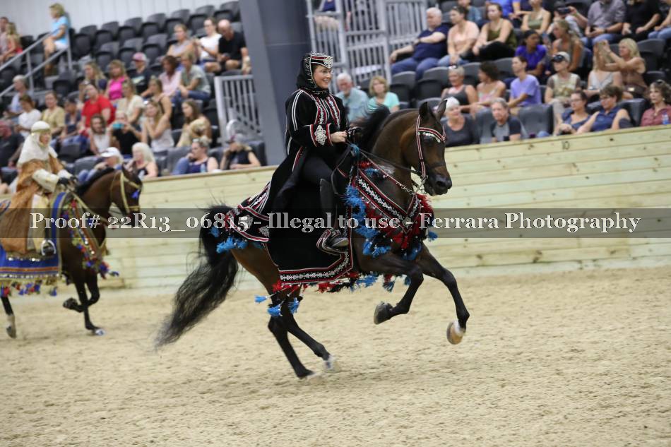 Proof 22R13_06815