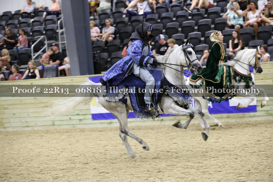 Proof 22R13_06818