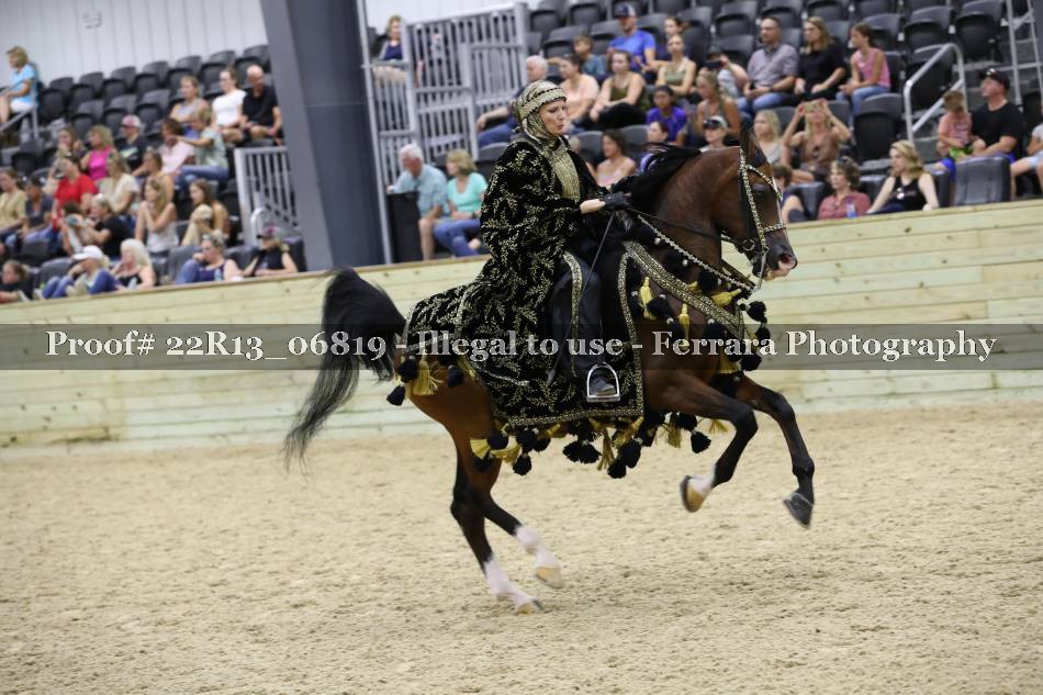 Proof 22R13_06819