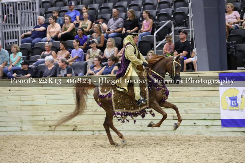 Proof 22R13_06824