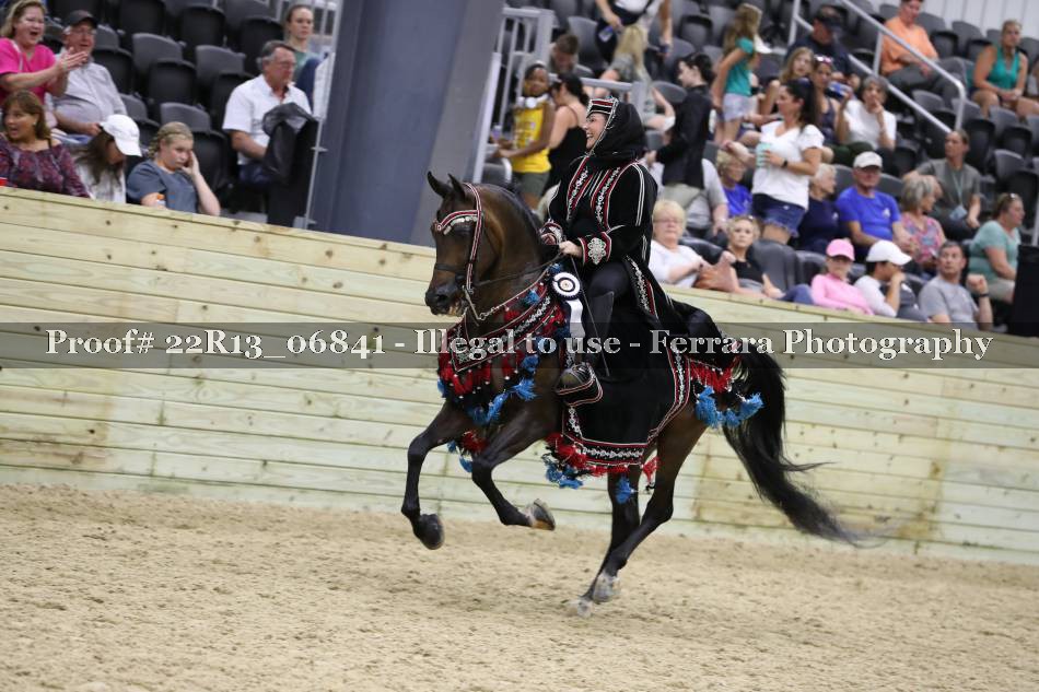 Proof 22R13_06841