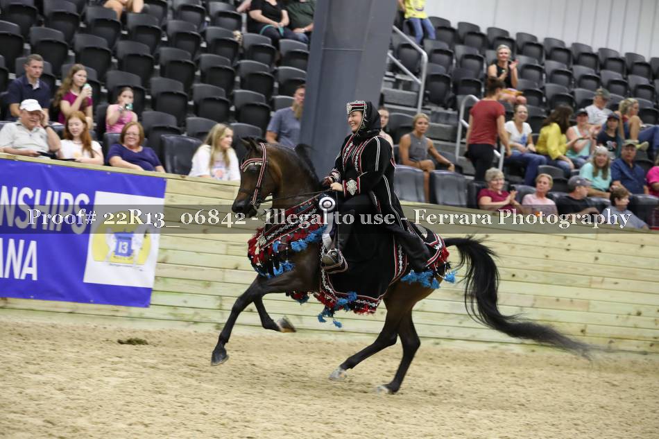 Proof 22R13_06842