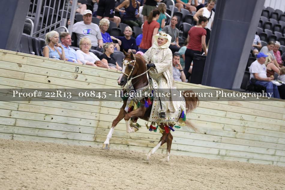 Proof 22R13_06845