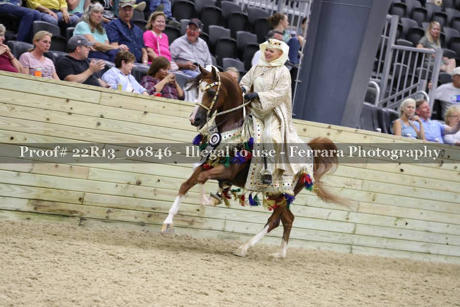 Proof 22R13_06846