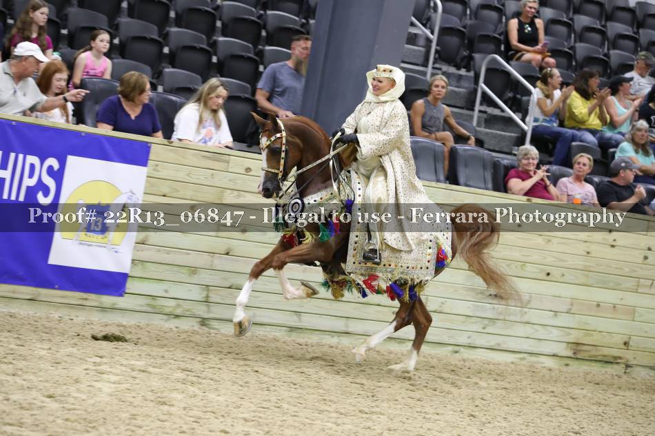 Proof 22R13_06847