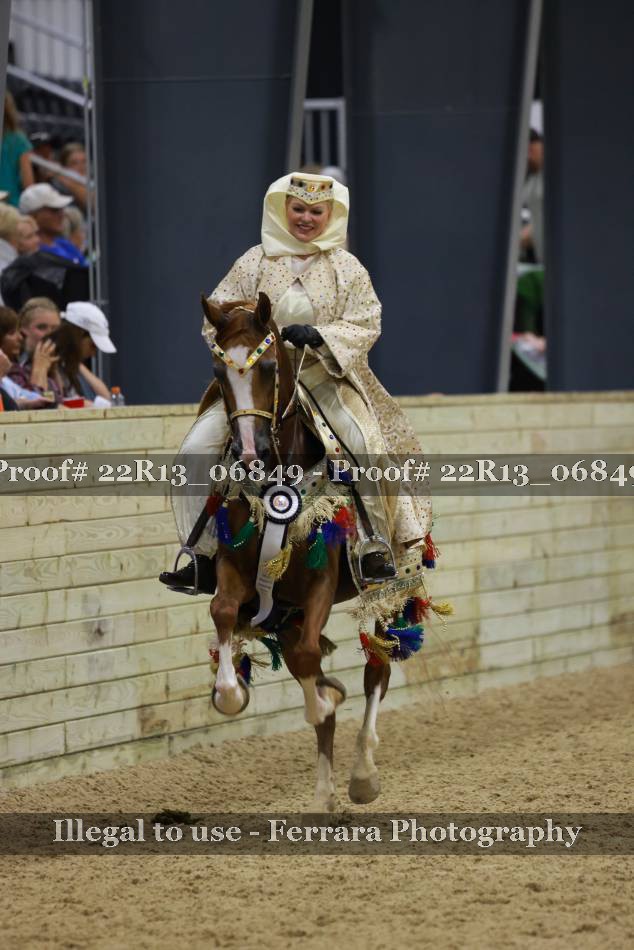 Proof 22R13_06849