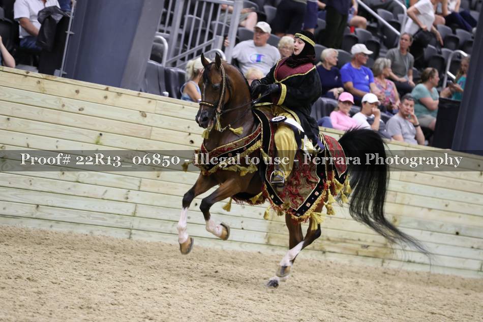 Proof 22R13_06850