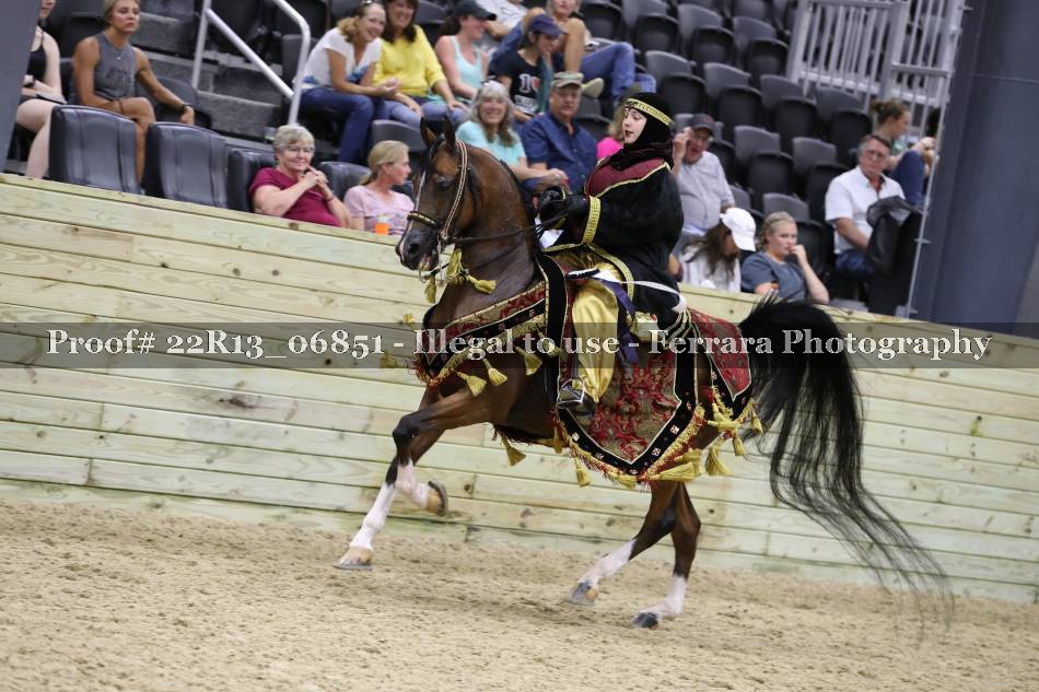 Proof 22R13_06851