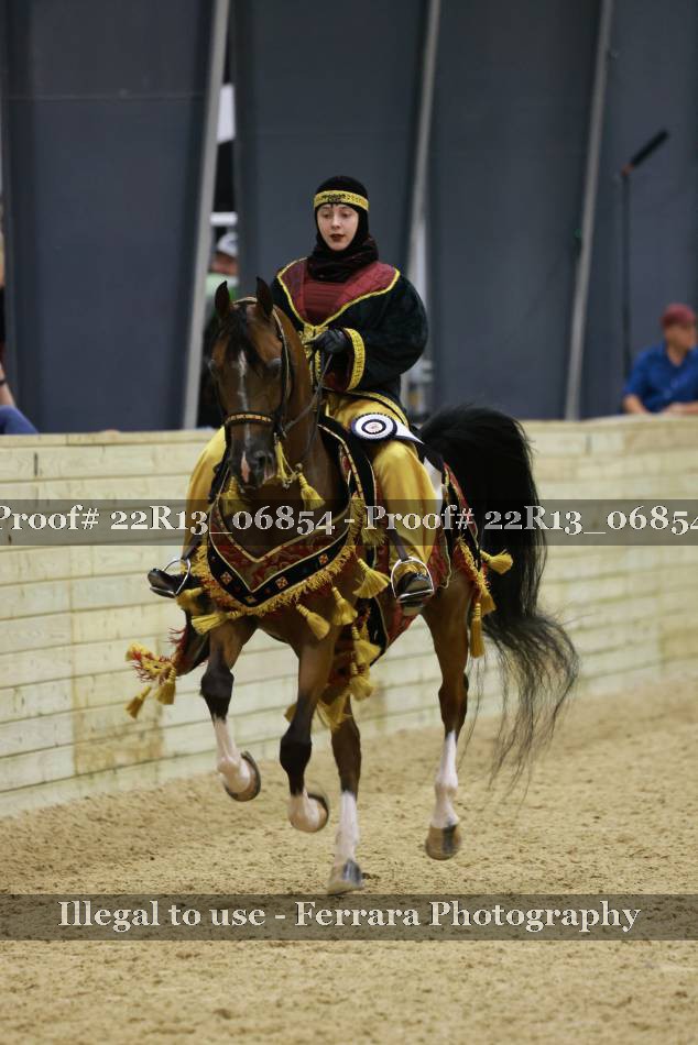 Proof 22R13_06854
