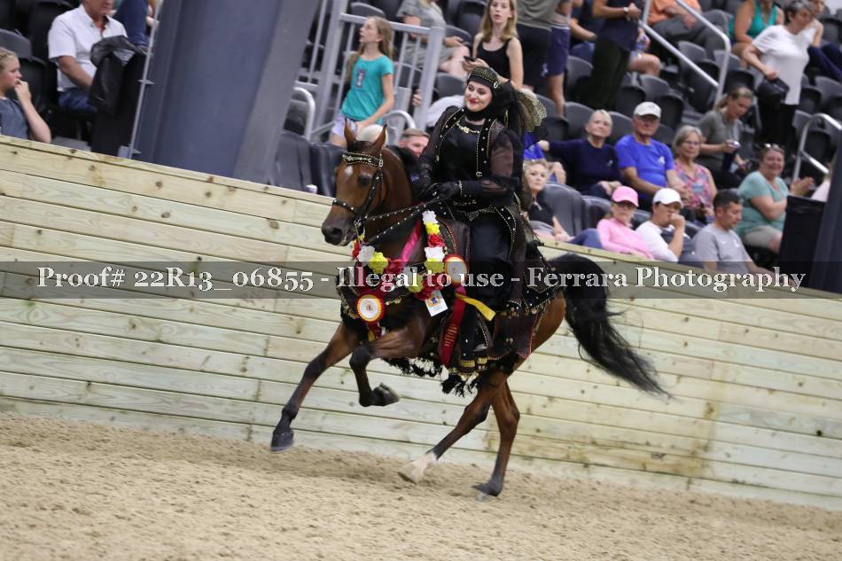Proof 22R13_06855