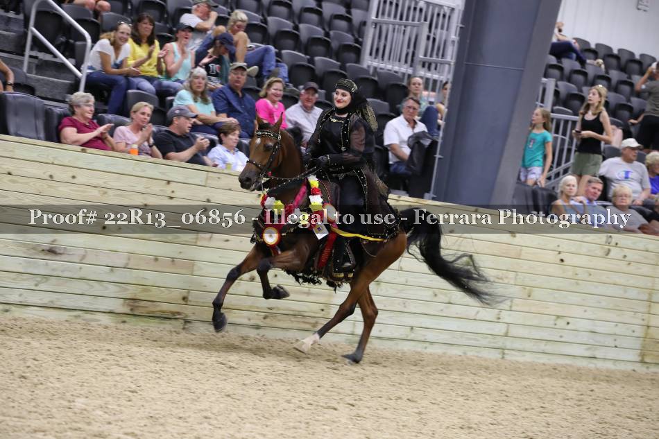 Proof 22R13_06856