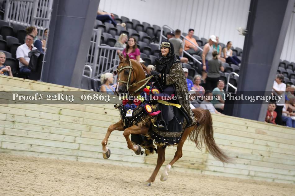Proof 22R13_06863