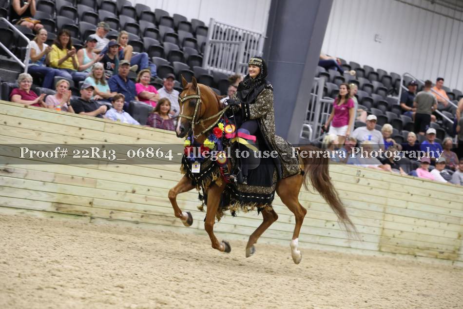 Proof 22R13_06864