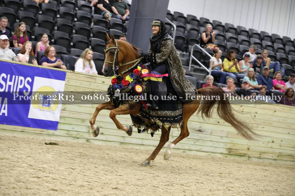 Proof 22R13_06865