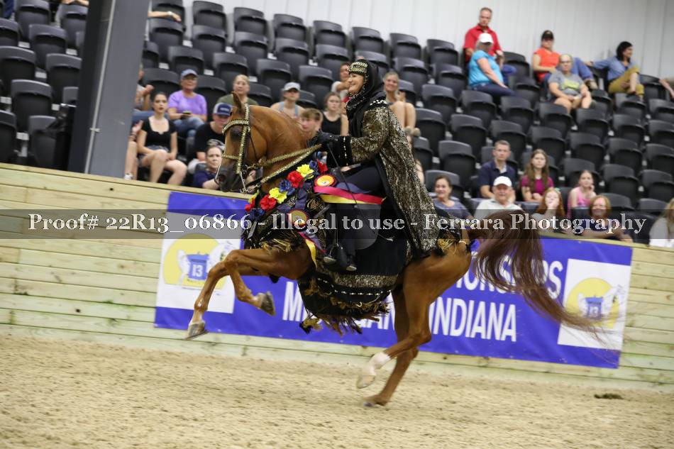 Proof 22R13_06866