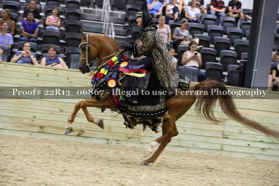 Proof 22R13_06867