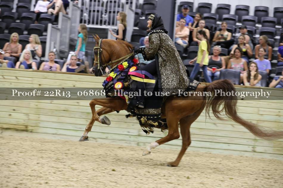 Proof 22R13_06868