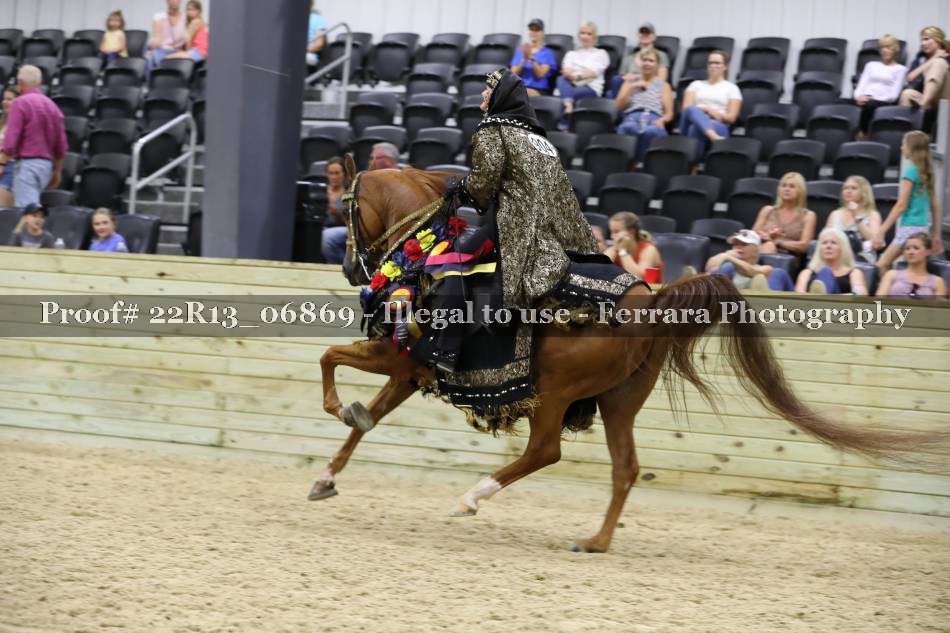 Proof 22R13_06869