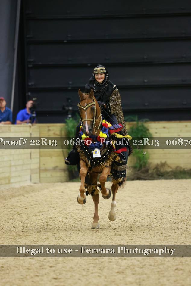 Proof 22R13_06870