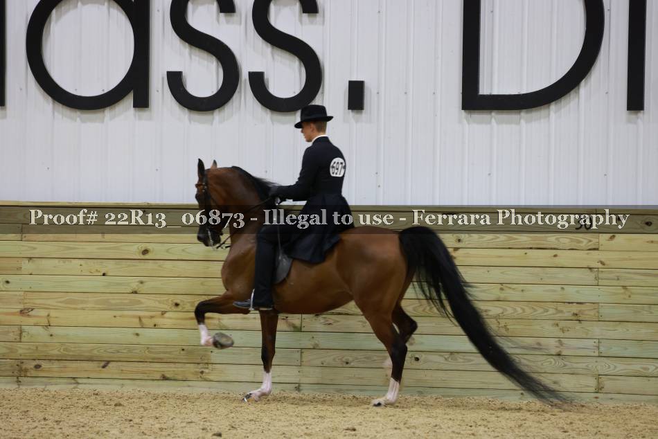 Proof 22R13_06873