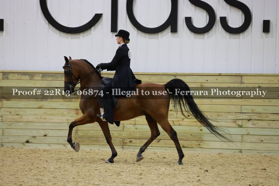 Proof 22R13_06874