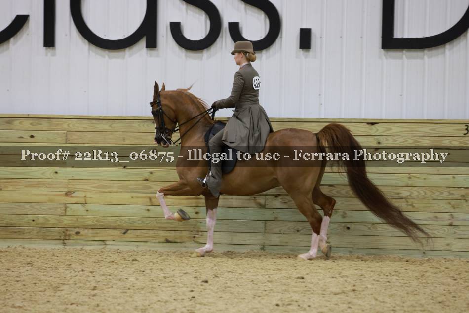 Proof 22R13_06875