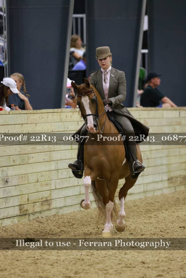Proof 22R13_06877