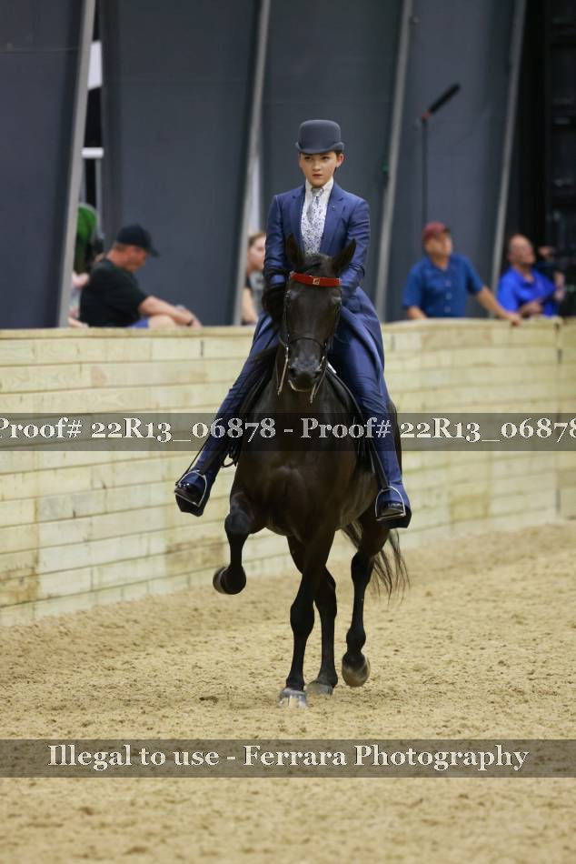 Proof 22R13_06878