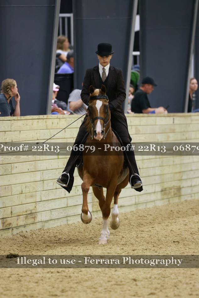 Proof 22R13_06879