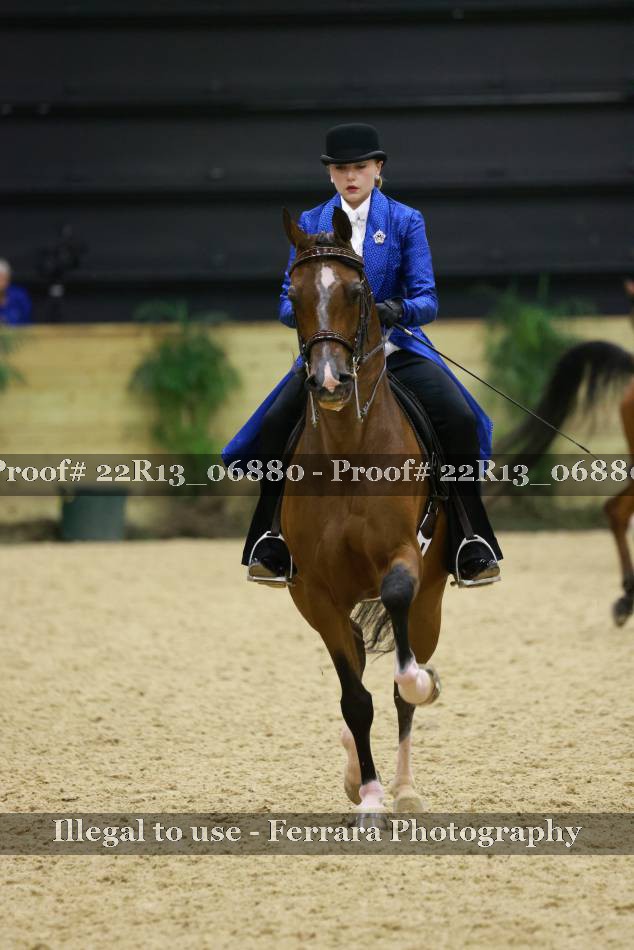 Proof 22R13_06880