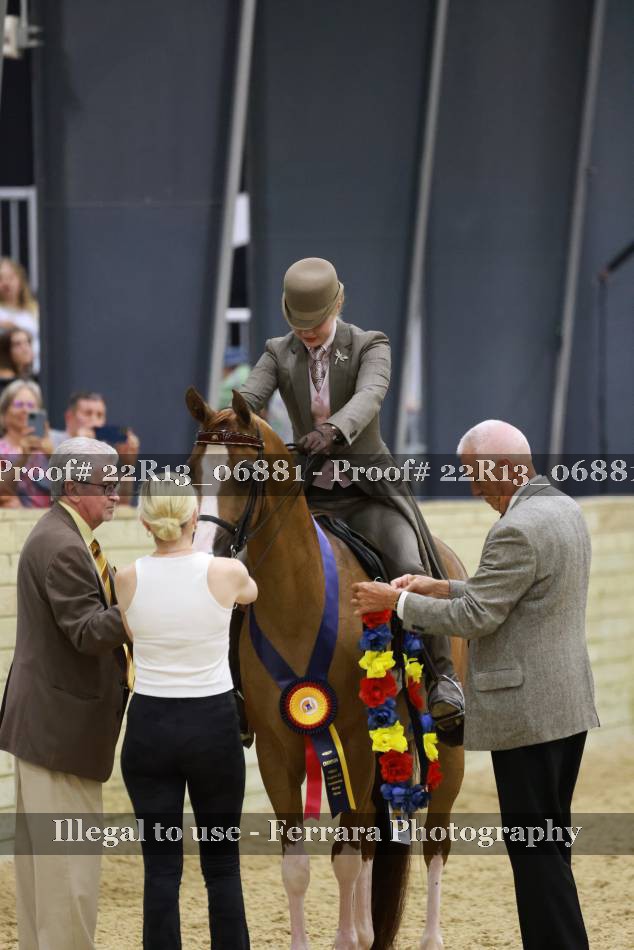 Proof 22R13_06881