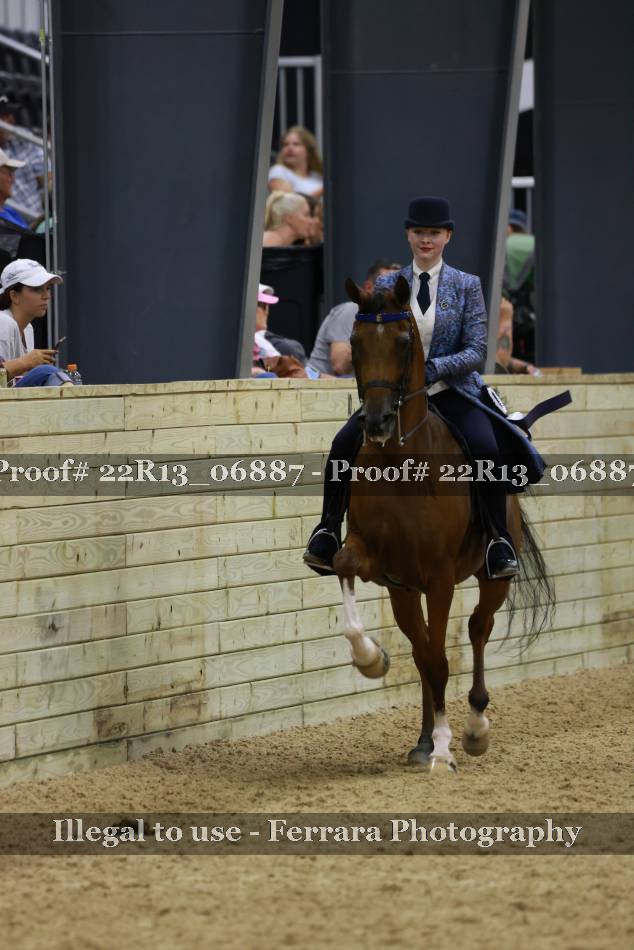 Proof 22R13_06887