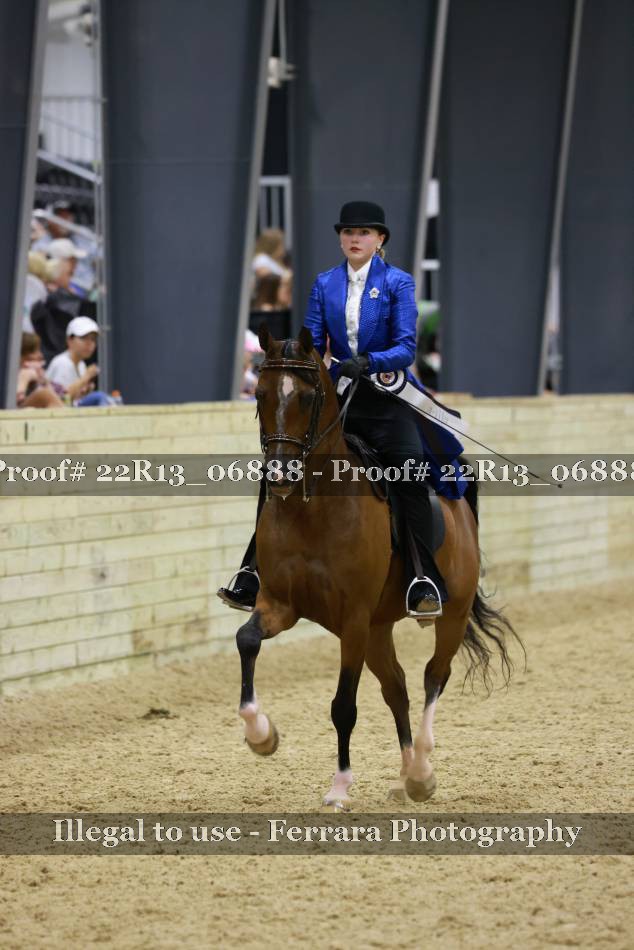 Proof 22R13_06888