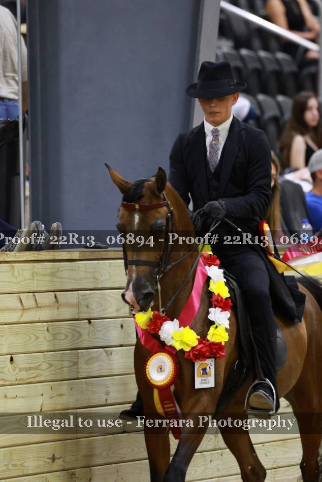Proof 22R13_06894
